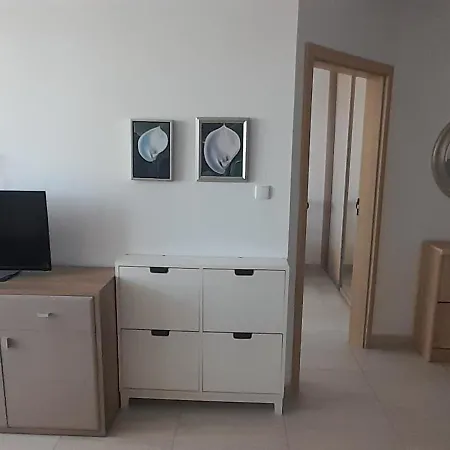 Przyjemny Blue Mare W Lukecinie *